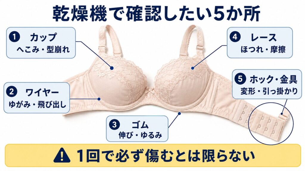 ブラジャーを乾燥機にかけた場合に、カップ、ワイヤー、ゴム、レース、ホックへ起こる可能性がある変化を示す図解